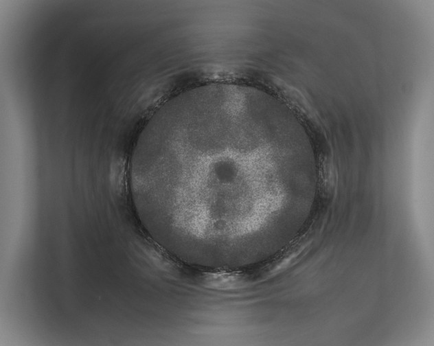 X0000111840511200908201219