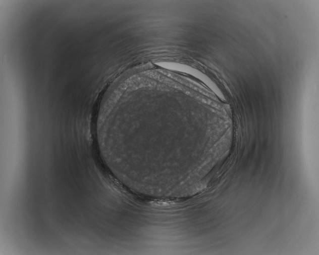 X0000111840512200908201219