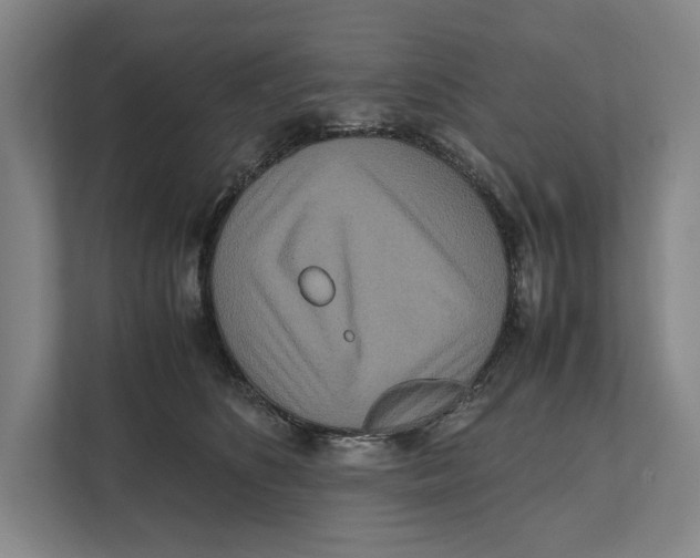 X0000111840516200908201219