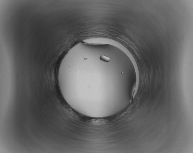 X0000111840520200908201219