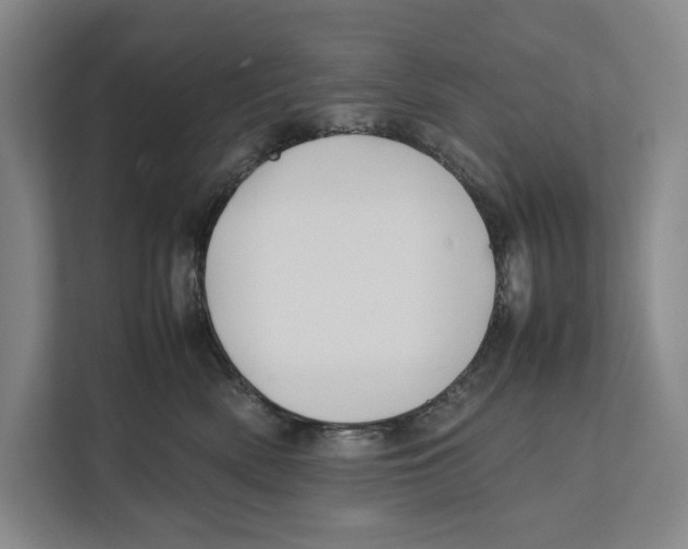 X0000111840522200908201219