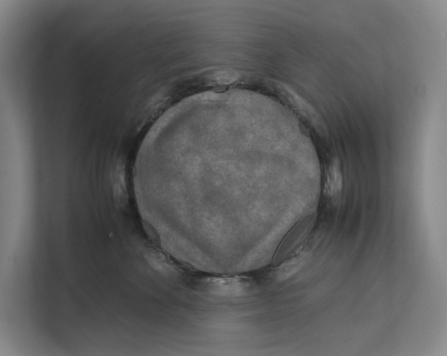 X0000111840524200908201219