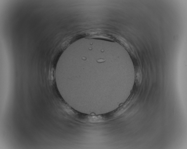 X0000111840525200908201219