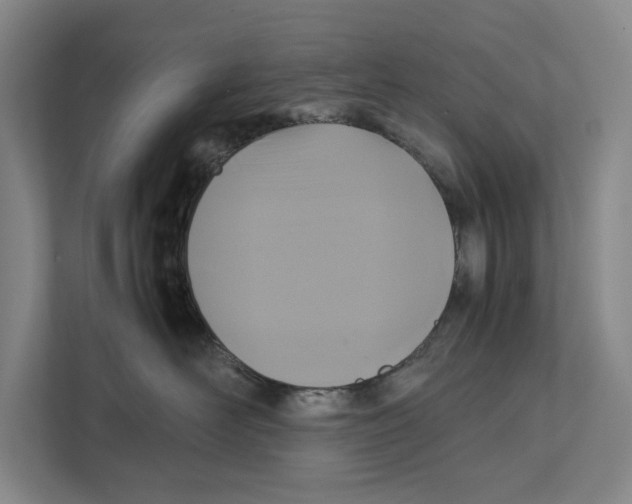 X0000111840526200908201219