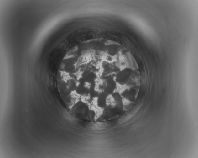 X0000111840527200908201219