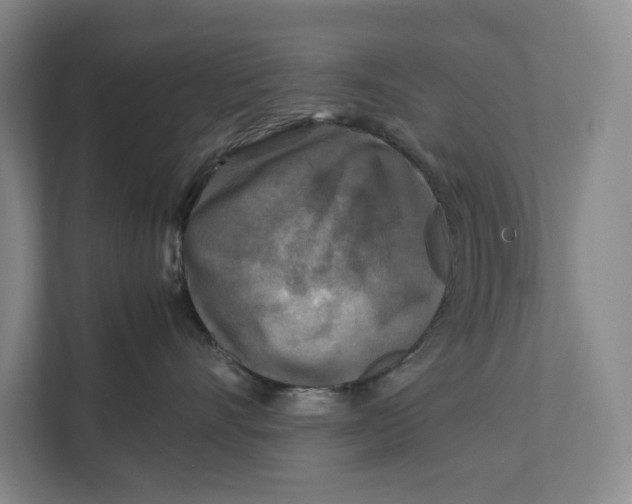 X0000111840528200908201219