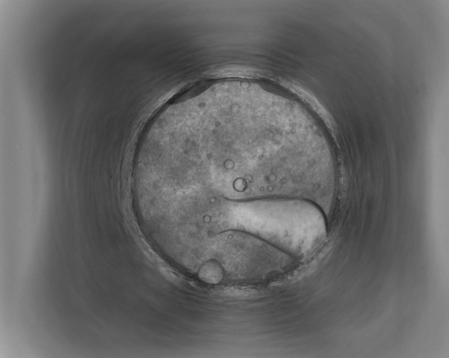 X0000111840529200908201218