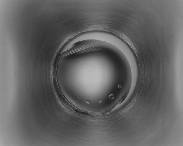 X0000111840530200908201218