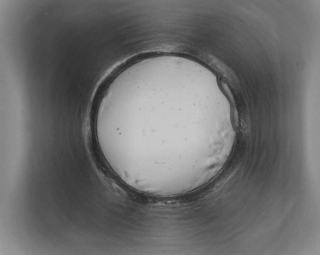 X0000111840532200908201218