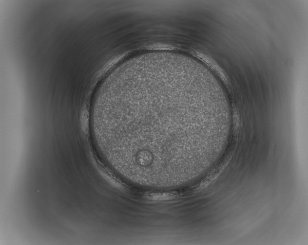 X0000111840533200908201218