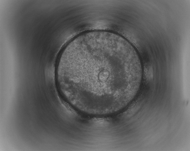 X0000111840534200908201219