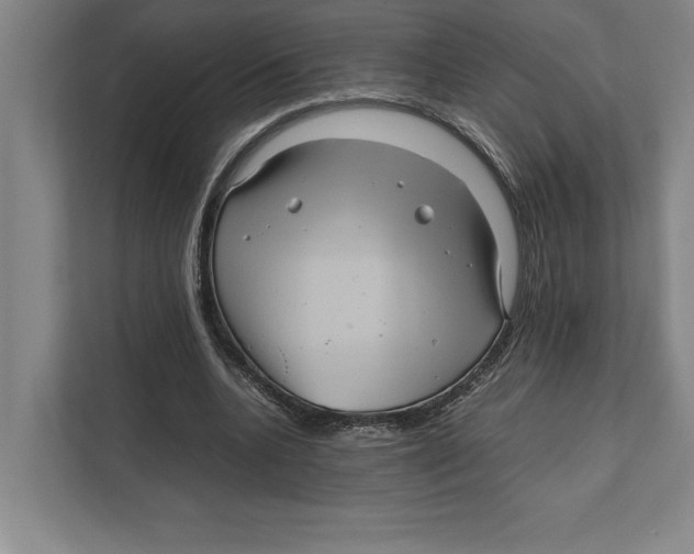 X0000111840536200908201219