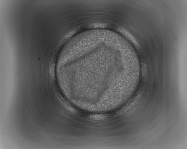 X0000111840537200908201219