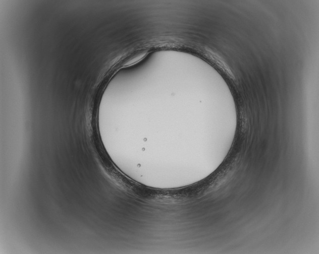 X0000111840538200908201219