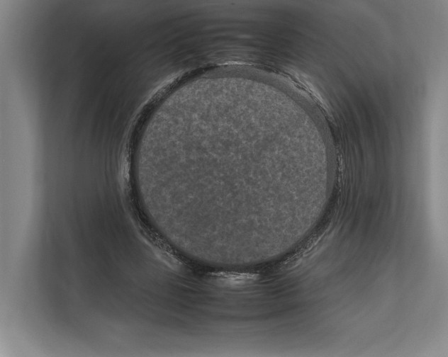 X0000111840539200908201219