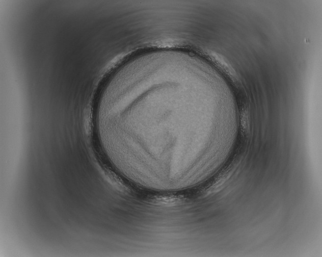 X0000111840540200908201219