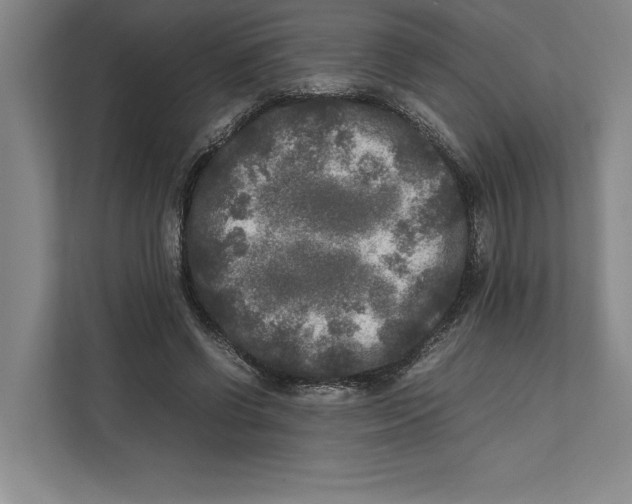 X0000111840542200908201219