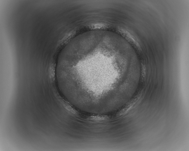 X0000111840545200908201219