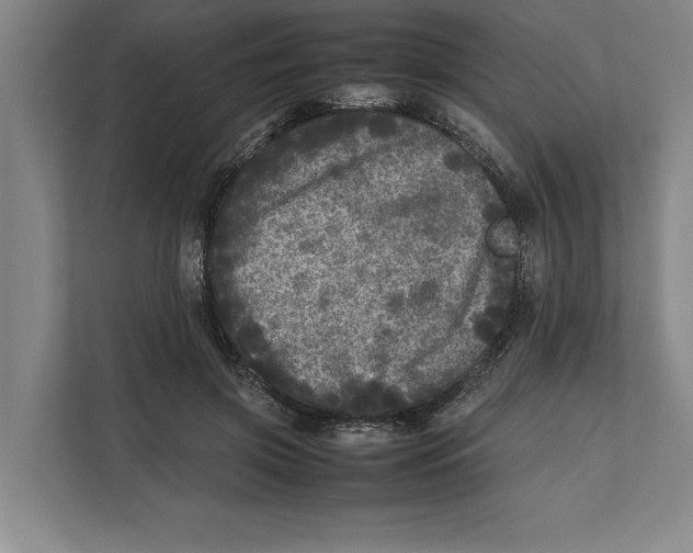 X0000111840549200908201219