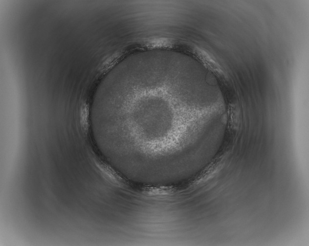 X0000111840550200908201219