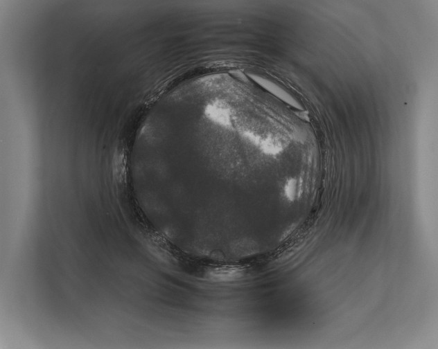 X0000111840551200908201219