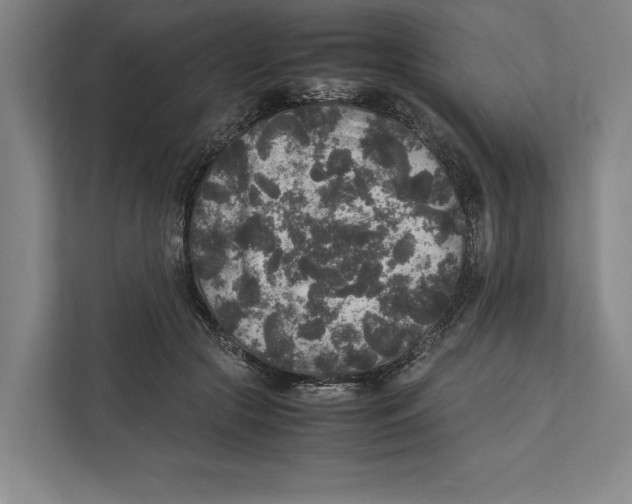 X0000111840553200908201219