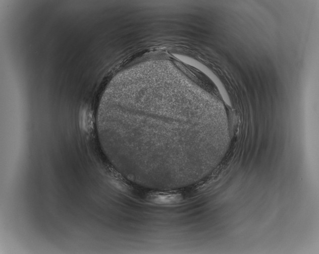 X0000111840555200908201219