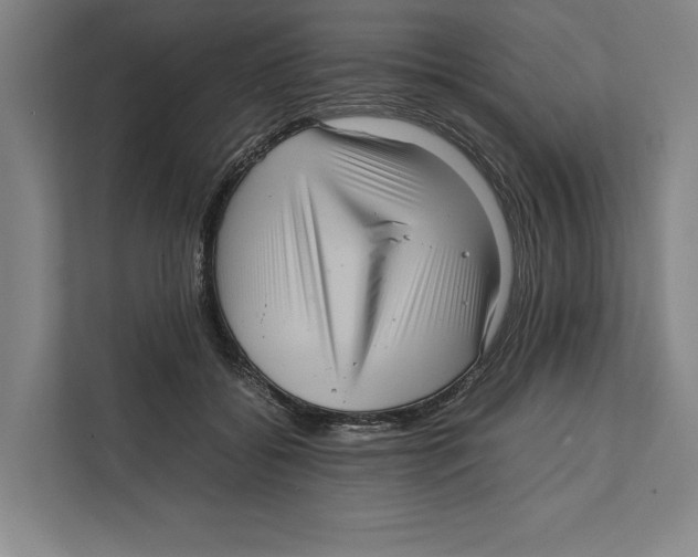 X0000111840556200908201219