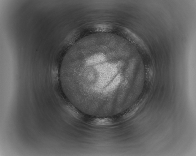 X0000111840557200908201219