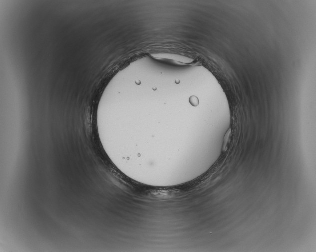 X0000111840558200908201219