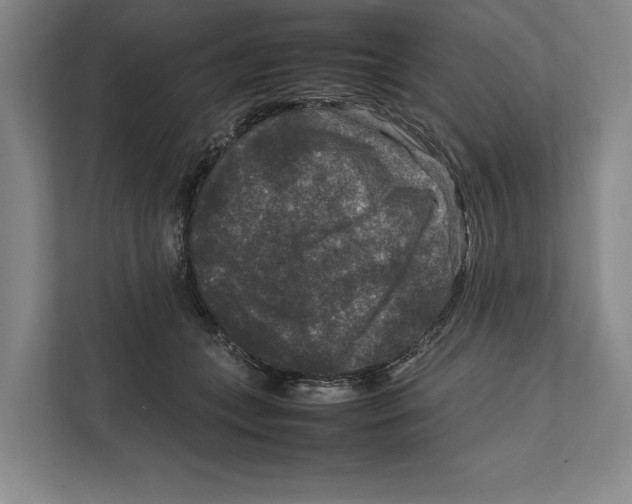 X0000111840559200908201219