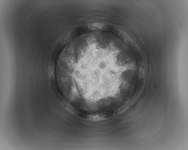 X0000111840561200908201219