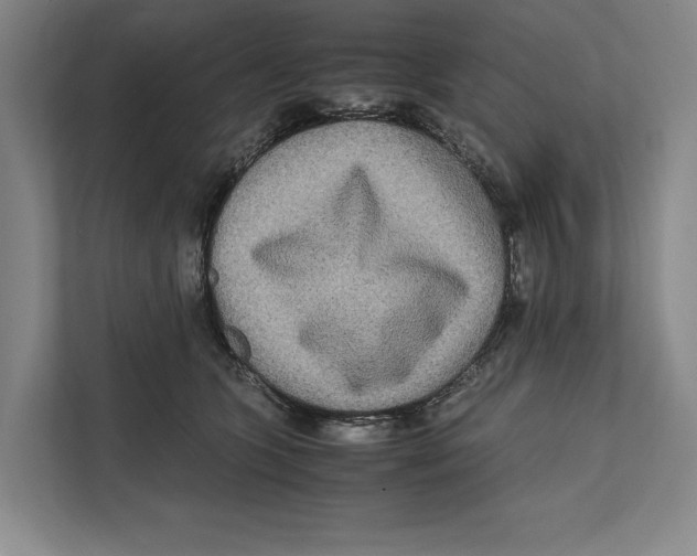 X0000111840563200908201219