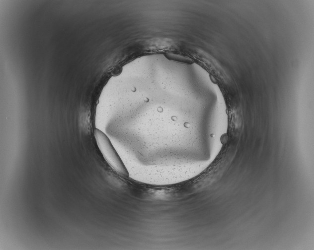 X0000111840564200908201219