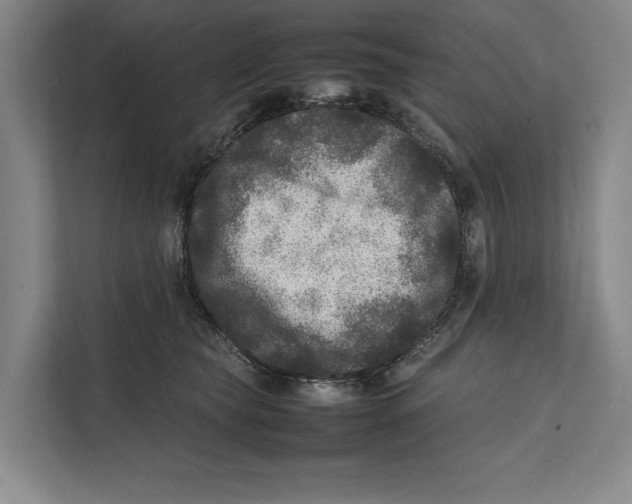 X0000111840565200908201219