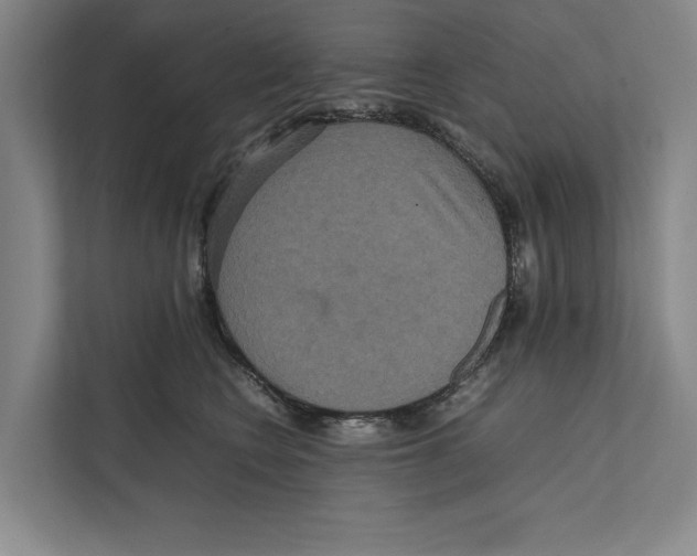 X0000111840566200908201219