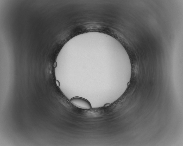 X0000111840567200908201219