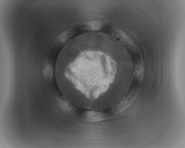 X0000111840568200908201219