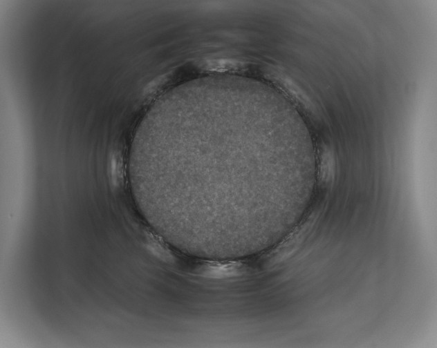 X0000111840569200908201219