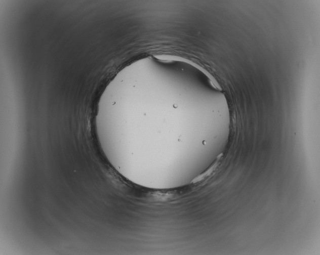 X0000111840570200908201219