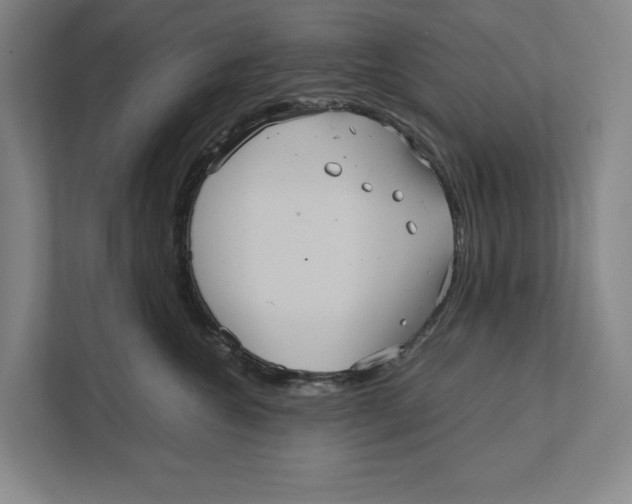 X0000111840572200908201219