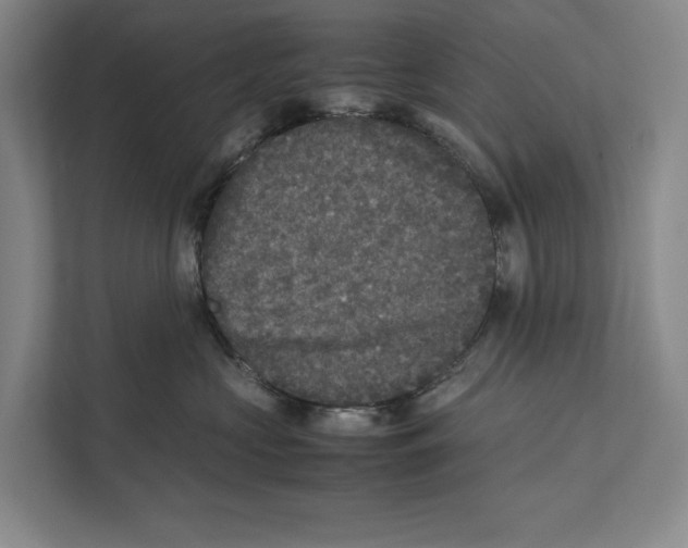 X0000111840573200908201219