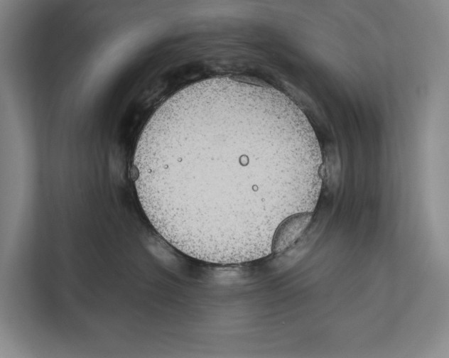 X0000111840574200908201219