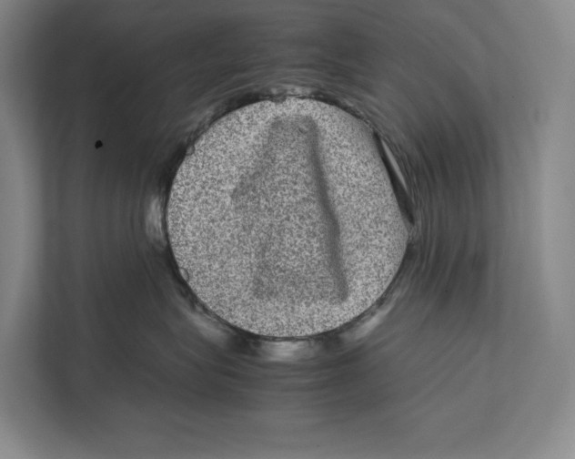 X0000111840575200908201219