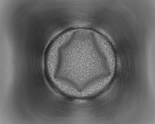 X0000111840582200908201218