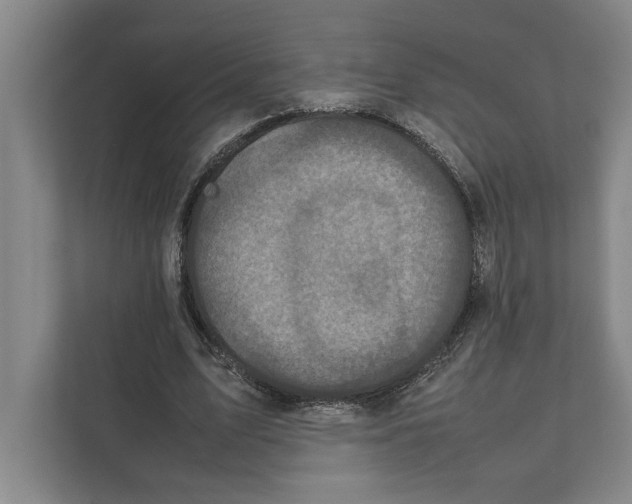 X0000111840583200908201218