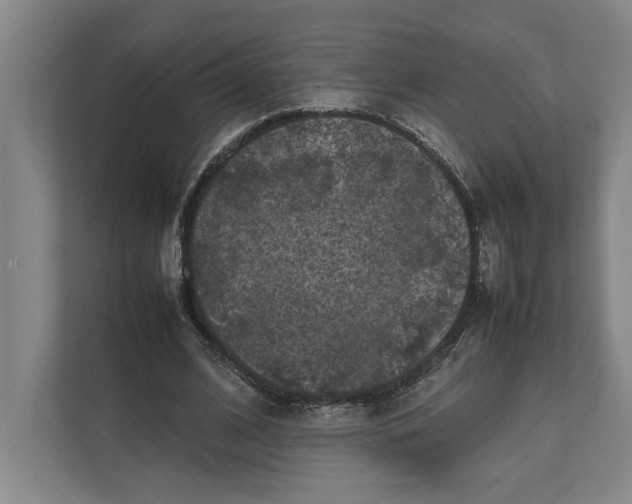 X0000111840584200908201218