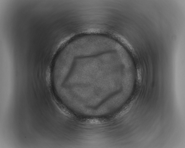 X0000111840588200908201218