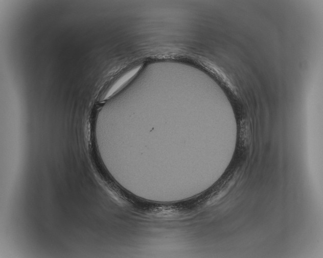 X0000111840589200908201218