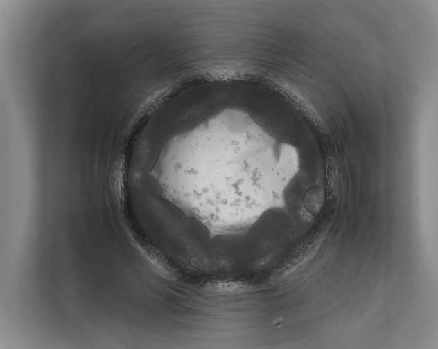 X0000111840590200908201218